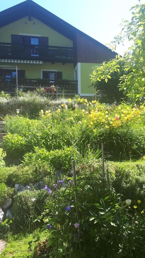 Haus Pilz Obertraun Exterior foto
